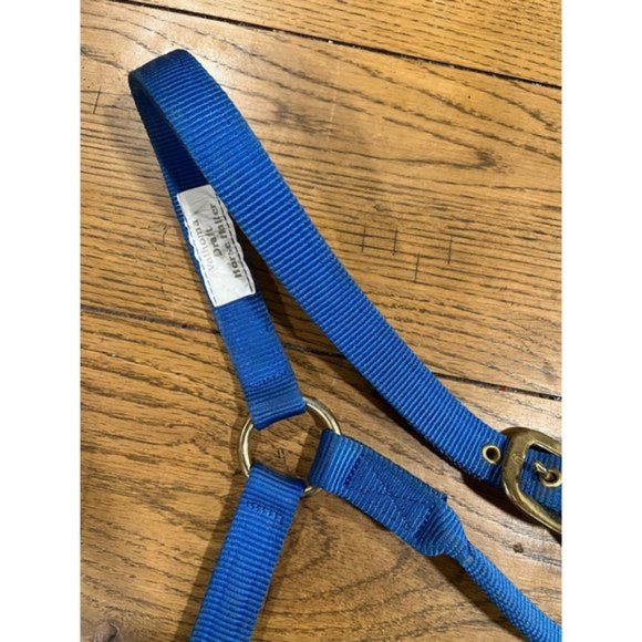 Draft Horse Halter Royal Blue - Picture 3 of 7